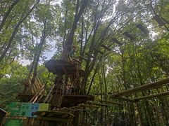 -WeLope紫金山探险公园
