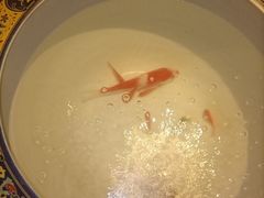 -樱蘭全息养生馆(三里屯店)