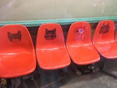 -猫咪博物馆(顶澳仔猫街店)