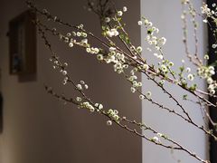 -猫里有甜