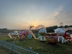 -大塘金香草谷
