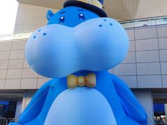 -盒马X会员店(王府井奥莱UP TOWN店)