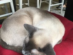 -MIKAKU(万达广场上海宝山店)