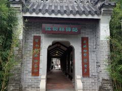 -大亚湾红树林城市湿地公园