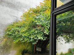 -乌镇东栅景区