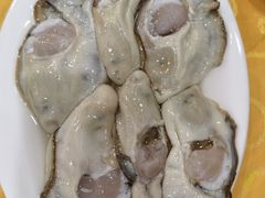 -濠轩阁特色生蚝火锅(水湾路店)
