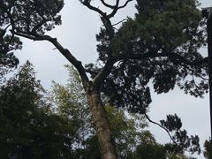 -松江清真寺