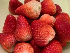 -百果园PAGODA(应元路店)