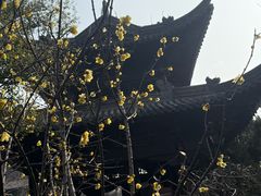 -钱王祠