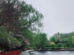 -青城公园