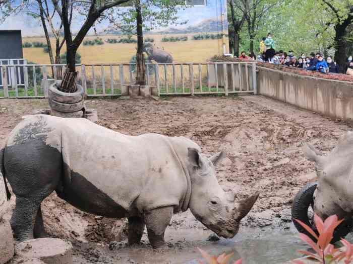 西安秦嶺野生動物園