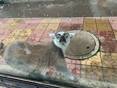 -辛玛王国游乐园