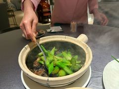 虾酱啫通菜梗-惠食佳(滨江大公馆店)
