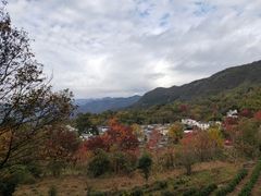-塔川景区