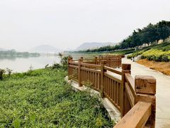 -艾米稻香小镇