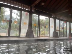 -东海森林温泉度假酒店