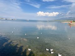 -青海湖国家重点风景名胜区