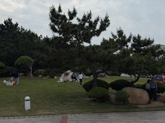 -日照灯塔风景区