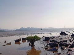 -深圳湾公园(南山区)