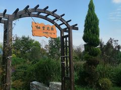 -杭州湾海上花田景区