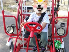 -永定河休闲森林公园