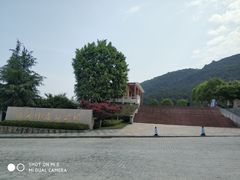 -铁山坪森林公园