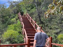-大岭沟猕猴桃谷风景区