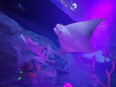 -沈阳海洋探索中心