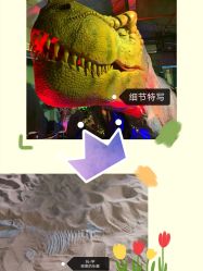 -恐龙探索乐园(磁器口店)
