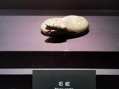 -金沙遗址博物馆