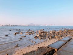 -海堤纪念公园