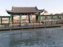 -莲花池公园