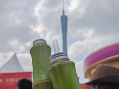 -海心沙亚运公园