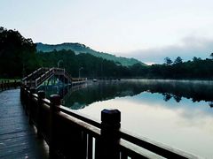 -海南热带雨林国家公园吊罗山景区
