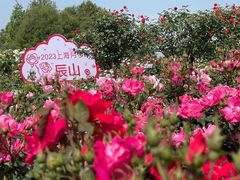 -上海辰山植物园