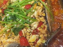 -黑猫馋纸包鱼(阳光店)