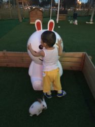 -萌宠亲子动物乐园(槐房万达店)