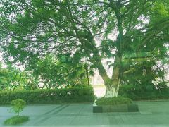 -海棠烟雨公园