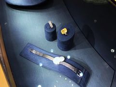 -Harry Winston 海瑞温斯顿