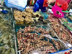 -三亚新鸿港水果一级批发市场