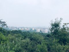 -府君山公园