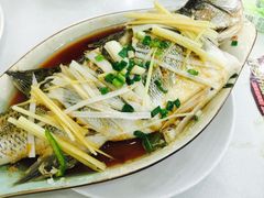 -东北饺子馆(马尾君竹店)