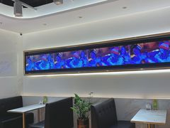 -813芭依珊 BAESAn(汇港购物中心店)