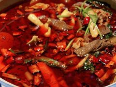 -红辣椒·川菜·火锅(张杨路店)