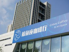 -Cetus coffee鲸鱼座咖啡·拼豆(二仙桥公园店)