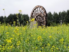 -长春公园(普阳街道)