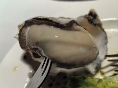 -Oyster Talks 四度蚝法餐厅