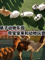 -萌宠亲子动物乐园(槐房万达店)