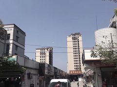 -浙江越秀外国语学院