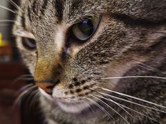 -天津医科大学第二医院